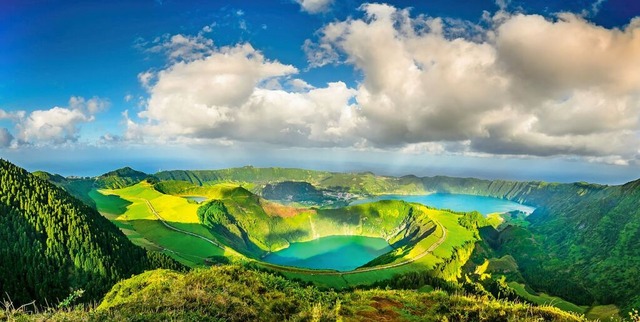 | Foto: Dov Fuchs/Shutterstock.com | Foto: Dov Fuchs/Shutterstock.com