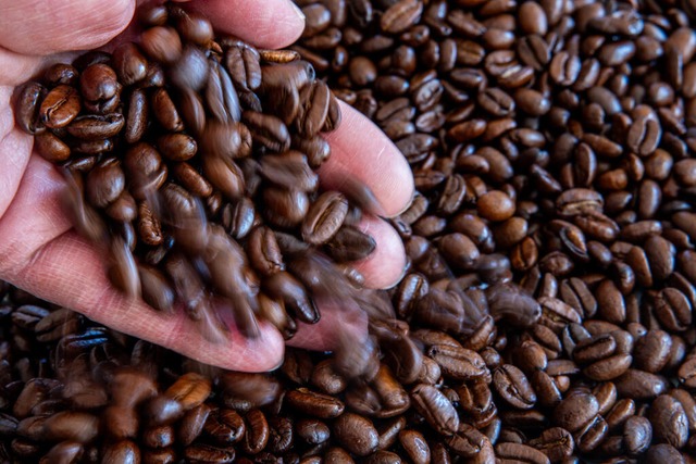 Die Preise für Rohkaffee sind in den letzten Wochen gestiegen. | Foto: Jens Büttner (dpa) Die Preise für Rohkaffee sind in den letzten Wochen gestiegen. | Foto: Jens Büttner (dpa)