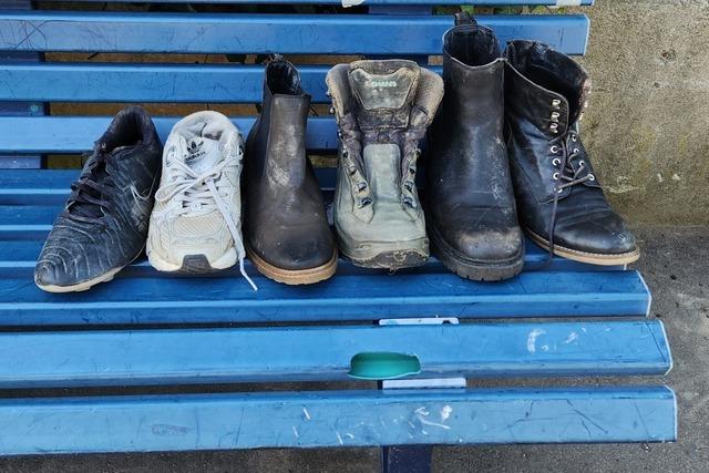 In Freiburgs Stadtteil Wiehre geht der Fuchs um – und stibitzt Schuhe