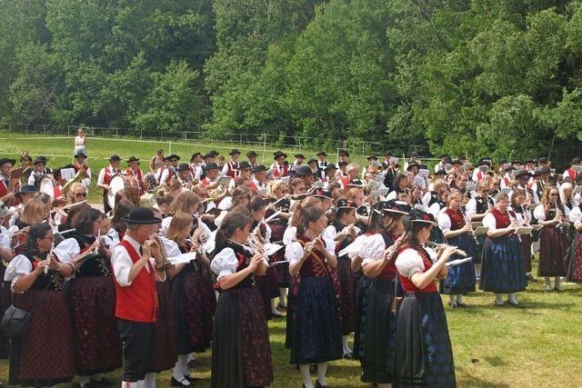 Imposanter musikalischer Aufmarsch in Dachsberg