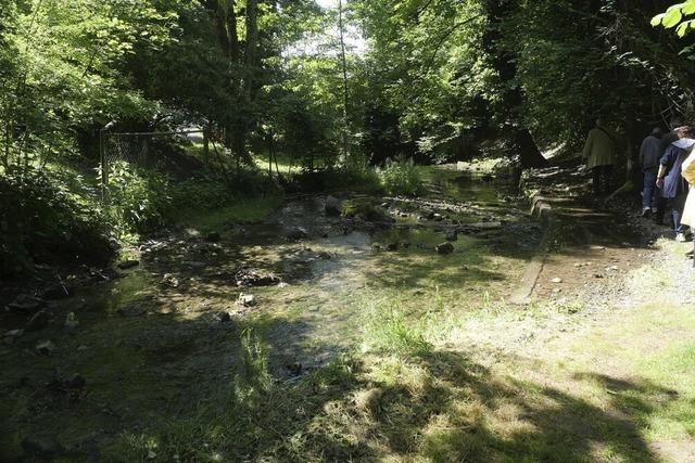 Gewalt oder Einvernehmlichkeit? Landgericht Waldshut-Tiengen beschäftigt sich mit Rheinufer-Vorfall