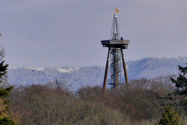 Wird der Eichbergturm in Emmendingen nun doch aus Stahl neu gebaut?