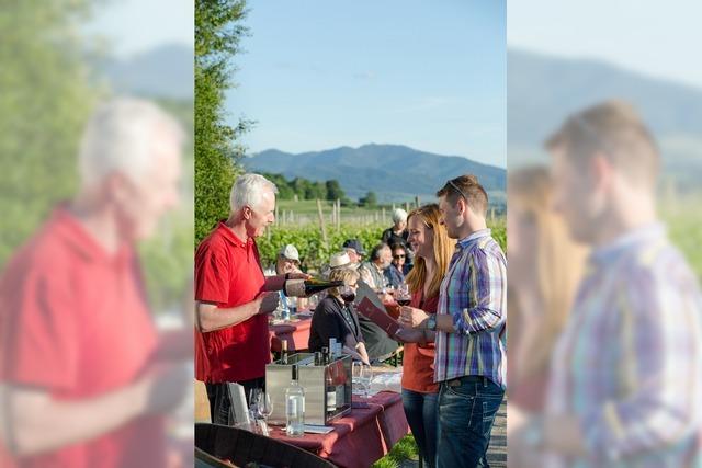 Kulinarische Weinwanderung auf dem Bad Krozinger Rebberg