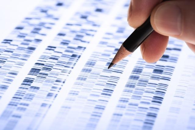 Nur der genetische Fingerabdruck ist hypergenau