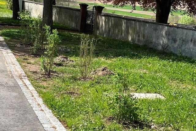 In Egringen regt sich Unmut über die weitere Eingrenzung von Parkmöglichkeiten am Friedhof