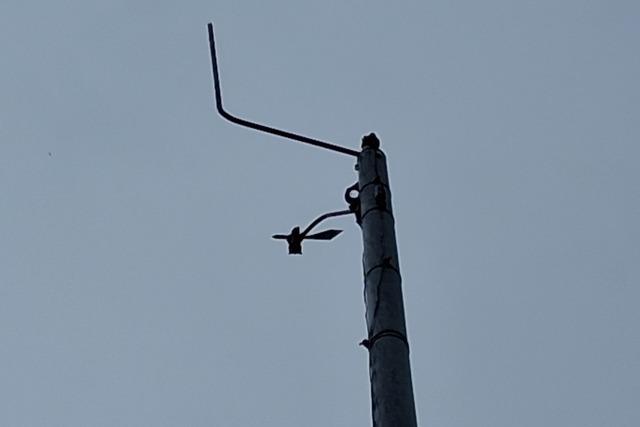 Der heftige Hagelschauer am Hochrhein zerstört auch Helmut Kohlers Wetterstation