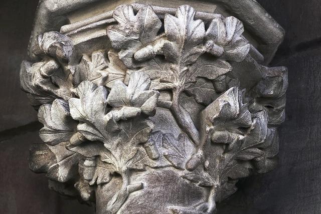 Die Ausstellung „Natur in Stein. Pflanzen in der gotischen Architektur“ startet im Freiburger Bauhttenmuseum