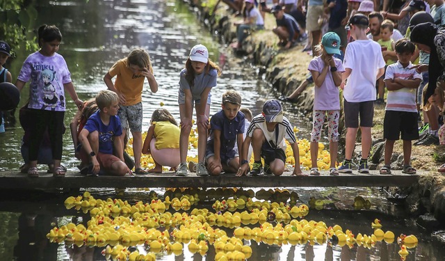 Das Entenrennen in Ettenheim – h...#8211; ist stets ein Publikumsmagnet. | Foto: Sandra Decoux Das Entenrennen in Ettenheim – h...#8211; ist stets ein Publikumsmagnet. | Foto: Sandra Decoux