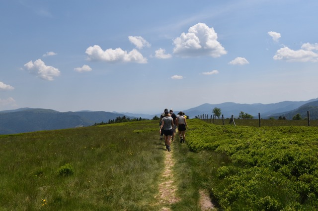 Der Gipfel des Grand Ventron bietet ein herrliches Berg-Panorama.  | Foto: Silke Kohlmann