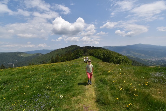 Aufstieg ber Wiesenpfade auf den Drumont  | Foto: Silke Kohlmann
