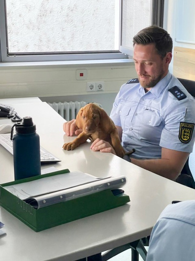 Cäsar fühlt sich bei der Polizei sichtlich wohl... | Foto: Polizei Freiburg Cäsar fühlt sich bei der Polizei sichtlich wohl... | Foto: Polizei Freiburg