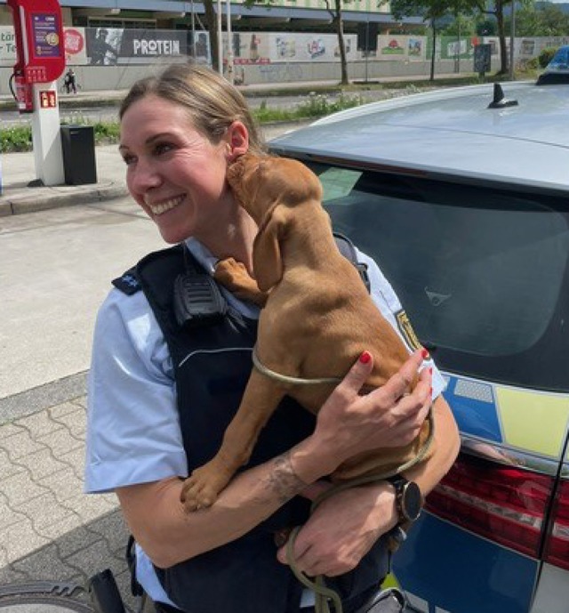 Eine Beamtin hat den Hund vorläufig bei sich aufgenommen. | Foto: Polizei Freiburg Eine Beamtin hat den Hund vorläufig bei sich aufgenommen. | Foto: Polizei Freiburg