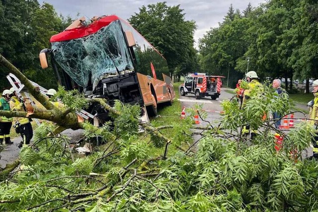 Bei dem Unfall wurde der Fahrer verlet...tark beschädigt und der Baum zerstört. | Foto: Feuerwehr Bad Krozingen Bei dem Unfall wurde der Fahrer verlet...tark beschädigt und der Baum zerstört. | Foto: Feuerwehr Bad Krozingen