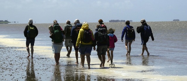 Nur mit Fhrung: Wer im Watt luft, muss wissen, wann das Wasser wiederkommt.   | Foto: privat