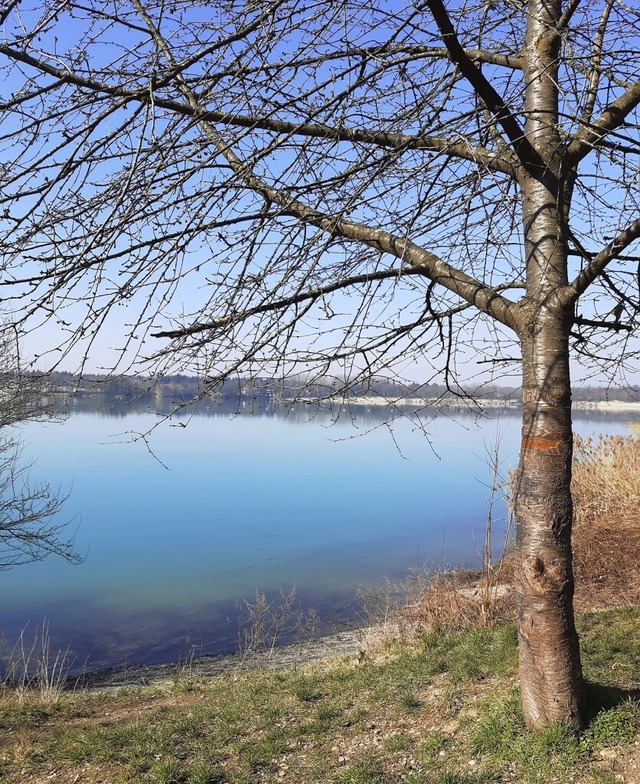 Der Rimsinger Baggersee ist auch ein Lebensraum für viele Tiere. | Foto: Privat Der Rimsinger Baggersee ist auch ein Lebensraum für viele Tiere. | Foto: Privat