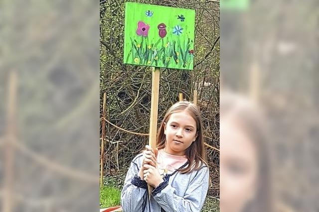 Aussaat einer Wildblumenwiese