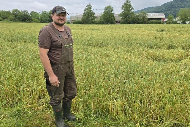 Hagelunwetter in Bad Säckingen: Erdbeersaison auf dem Iselehof vorzeitig beendet