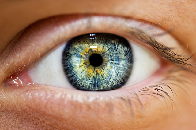 Wenn das Auge im zentralen Sehfeld nic...ängige Makuladegeneration schuld sein. | Foto: Adobe Stock/Victoria Key Wenn das Auge im zentralen Sehfeld nic...ängige Makuladegeneration schuld sein. | Foto: Adobe Stock/Victoria Key