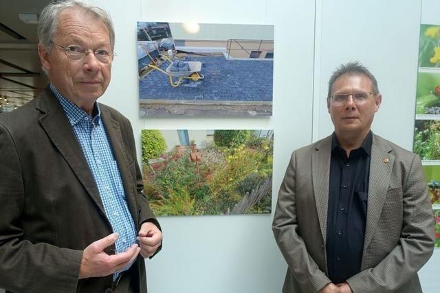 Eine neue Fotoausstellung in Rheinfelden zeigt die Vielfalt von Stadtgrn und Beton