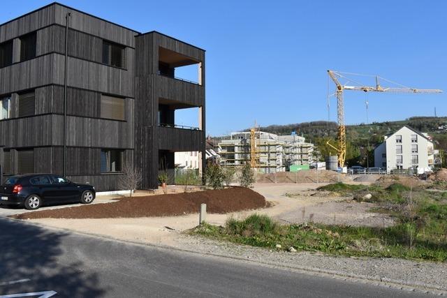 Kandergrund in Binzen: Investoren bevorzugen individuelle Bauprojekte