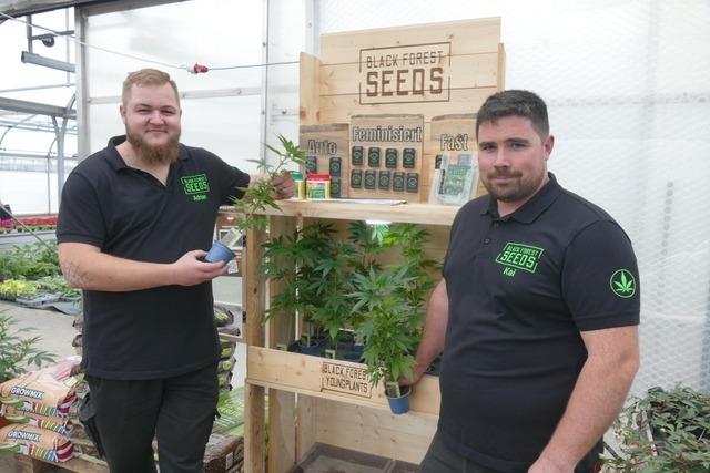 Wie zwei Unternehmer aus Lahr Cannabis-Stecklinge in die Gartencenter bringen wollen