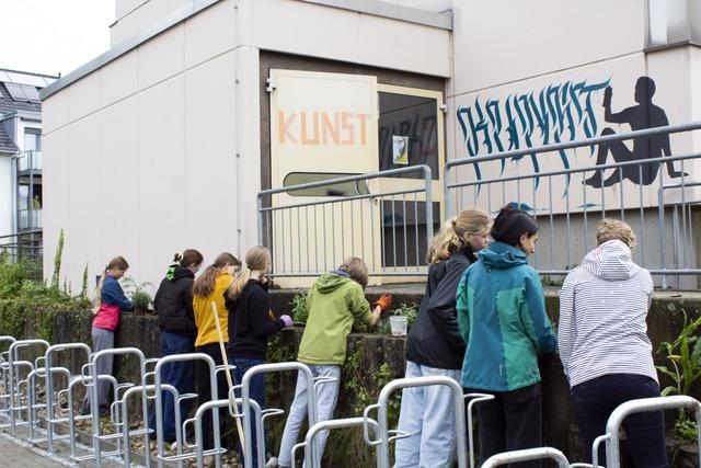 Schüler des Kollegs St. Sebastian in Stegen pflanzen mit dem Nabu Dreisamtal Kräuter und mehr