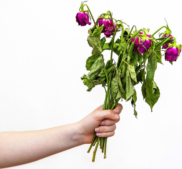   | Foto: Shirley Milburn (stock.adobe.com)