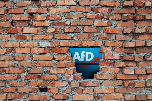 AfD im Osten: Wo die Brandmauer wackelt