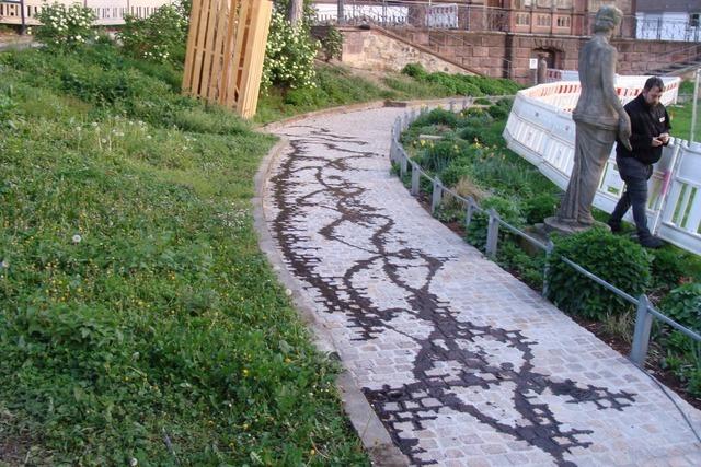 Vandalismus in Freiburg: Grnanlagen und Parks leiden zunehmend unter mutwilliger Zerstrungswut