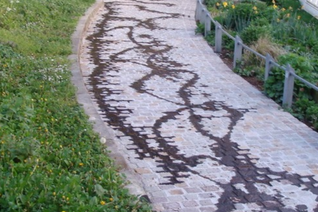 Vandalismus in Freiburg: Parks leiden zunehmend unter mutwilliger Zerstörungswut