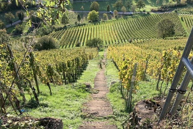 Winzerdorf hilft Vereinen trotz Sparzwangs