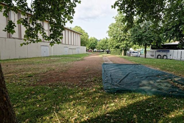 Die Schulsportanlage ist ein politischer Dauerbrenner in Endingen – jetzt soll saniert werden