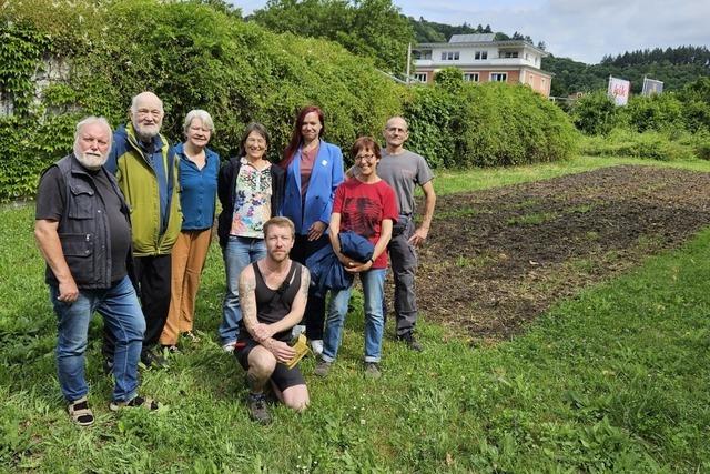 Neben dem Freiburger Einkaufszentrum ZO entsteht eine Blühwiese