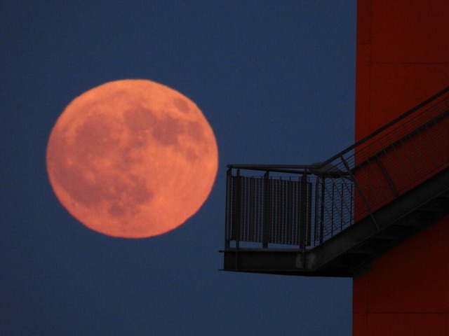 Der Erdbeermond im Jahr 2023 über Hamb...ich imposanter Mond zu bestaunen sein. | Foto: dpa Der Erdbeermond im Jahr 2023 über Hamb...ich imposanter Mond zu bestaunen sein. | Foto: dpa