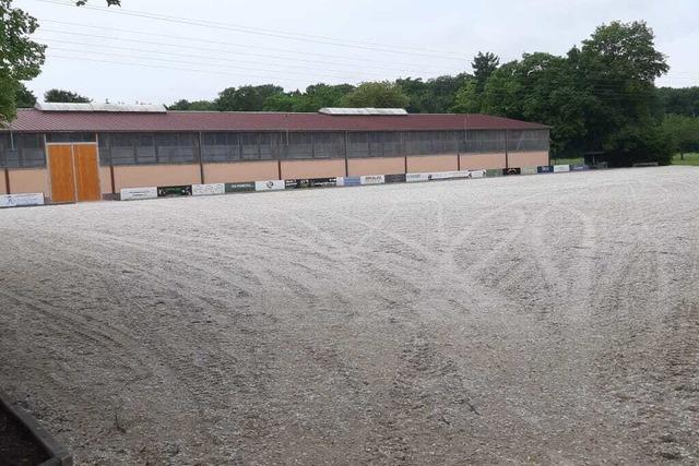 Spring- und Dressurreiter messen sich bei zwei Reitturnieren im Juni und Juli 2025 in Ichenheim