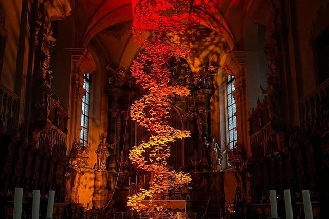 Mehr als 1000 Origami-Tauben bilden ein Kunstwerk in Waldkircher Kirche: "Bestimmt drei Monate Planung"