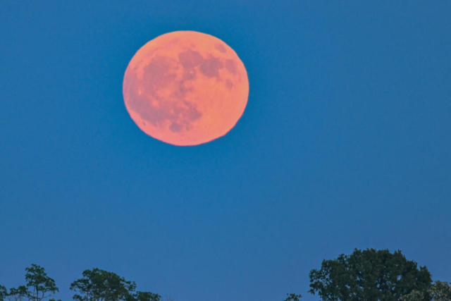 Wir suchen Ihre Fotos vom Erdbeermond - machen Sie mit!