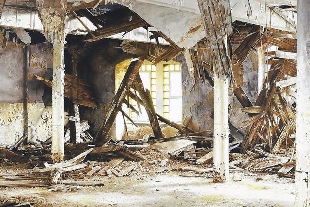 Constanze Albecker-Gnser fhrt durch die Ausstellung 