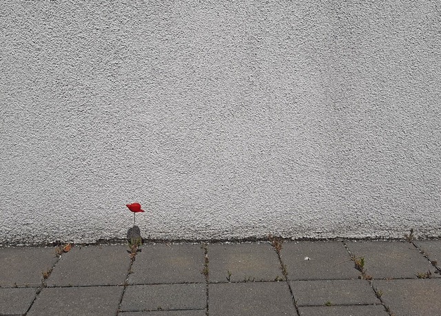 | Foto: Hardy Knoll | Foto: Hardy Knoll