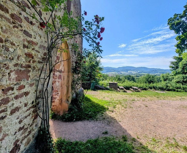 Malerisch an der Ruine der St. Severin...die Grillstelle auf dem Mauracher Berg | Foto: Silke Kohlmann Malerisch an der Ruine der St. Severin...die Grillstelle auf dem Mauracher Berg | Foto: Silke Kohlmann