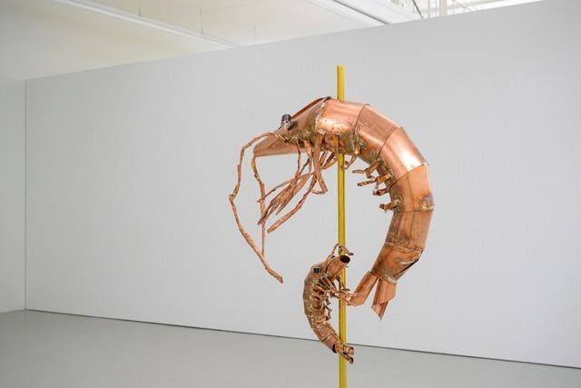 Blicke hinter die touristische Oberflche: die dritte Biennale fr Freiburg