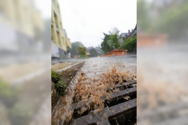 Leserbrief: Bei Hochwasser nicht planlos im Kreis rennen