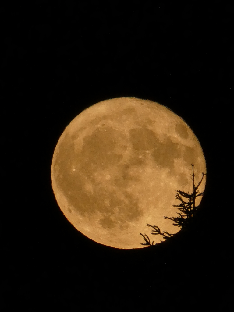 Jan Klopfer hat den Erdbeermond am Mittwochabend um Viertel vor zwlf in Titisee-Neustadt fotografiert.