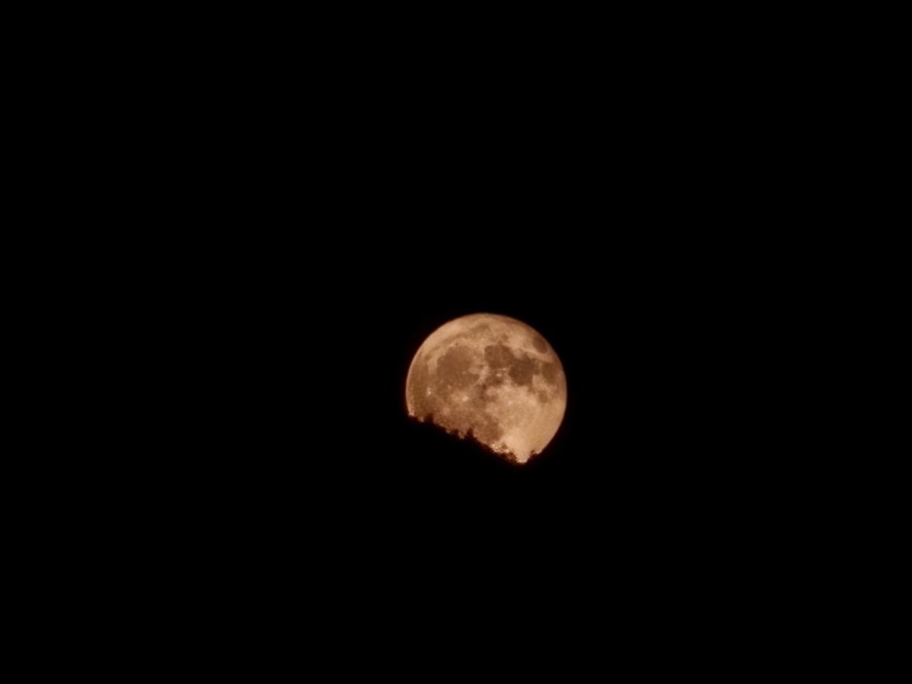 Erdbeermond hinter dem Hinterwaldkopfsattel im Dreisamtal, am Mittwochabend um 20 nach elf. Foto vin Daniel Muselewski