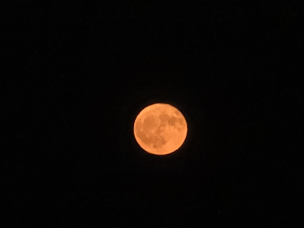 Der Erdbeermond aus der Sicht von Gaby Matthiss in Allmannsweier (Schwanau)
