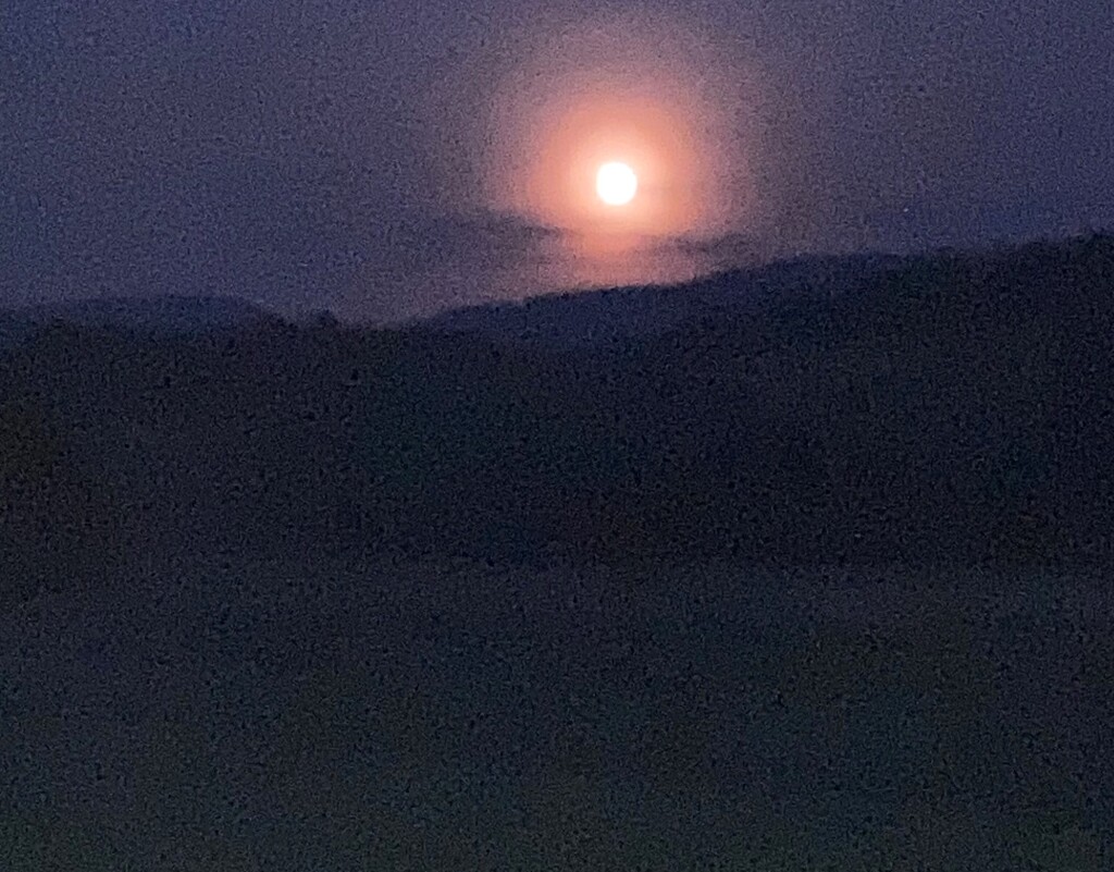 Foto von Ute Klingele