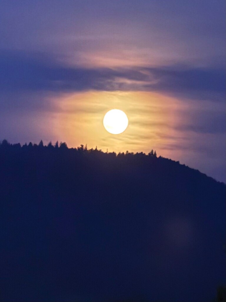 Vladimira Martin hat dieses Foto in Staufen aufgenommen.