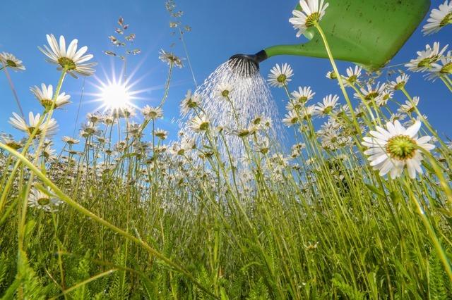 PFAS im Kürzeller Grundwasser: Meißenheim informiert in einer Versammlung über die Chemikalien