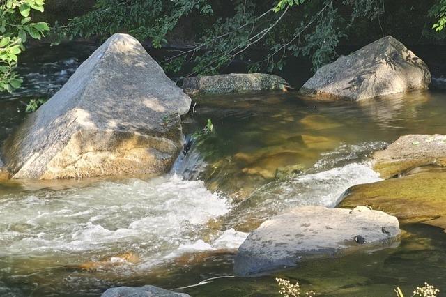 Die Renaturierung des Flusses Wiese macht das Gewässer fit für die Herausforderungen der Zukunft