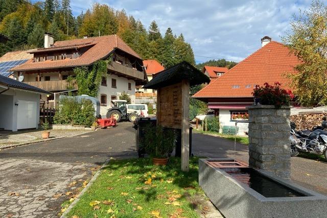 Ortschaftsrat in Wies ist froh darüber, dass weniger Windkraftanlagen gebaut werden